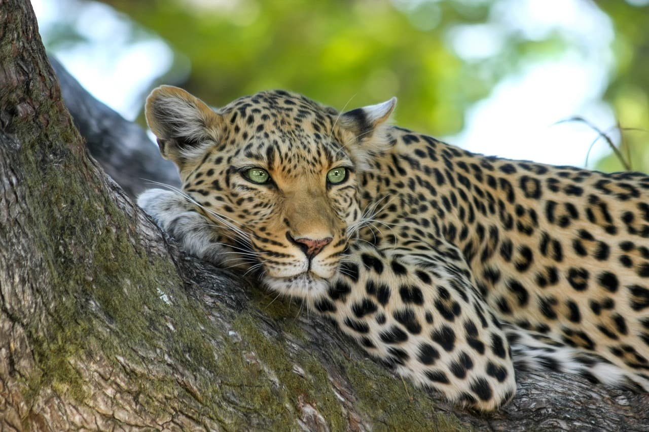 East Africa Travel Destination
