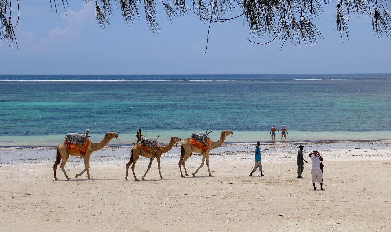 Tailor-Made Journeys